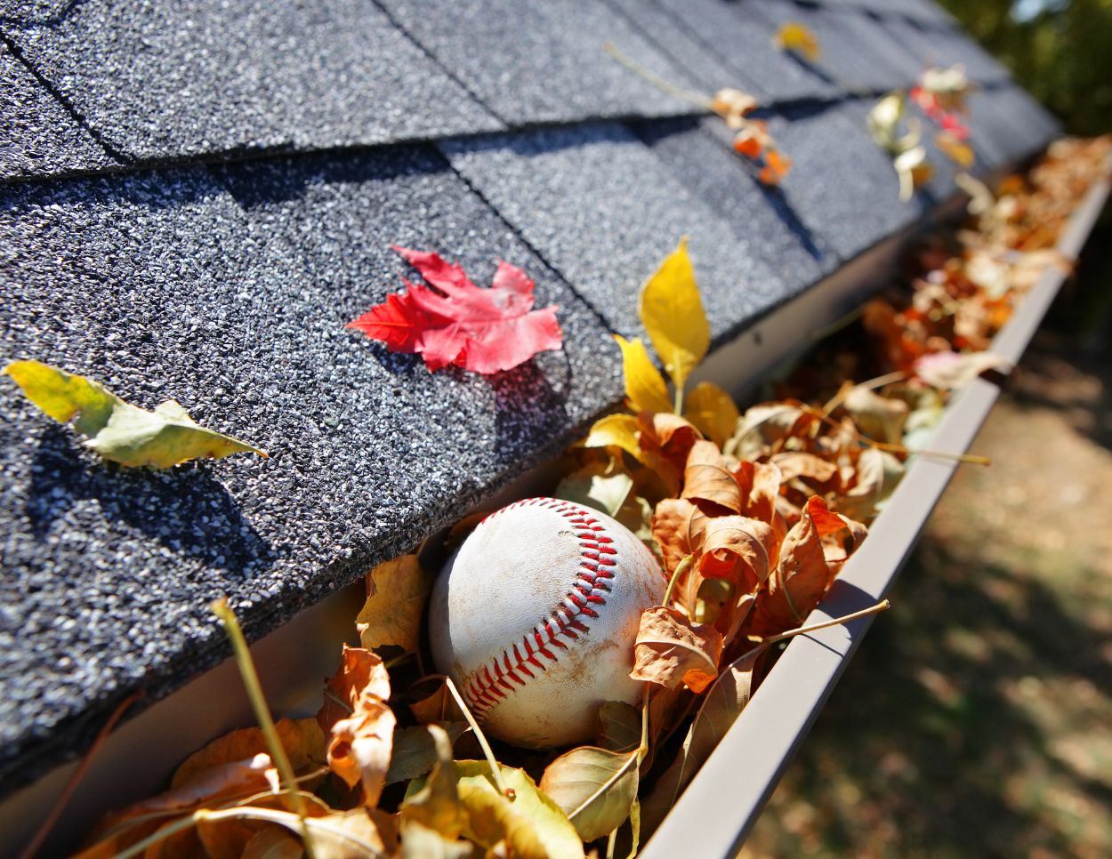 Fall Gutter Clean