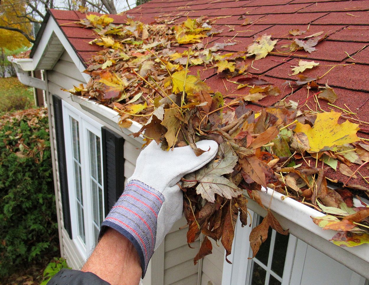 Fall Gutter Clean